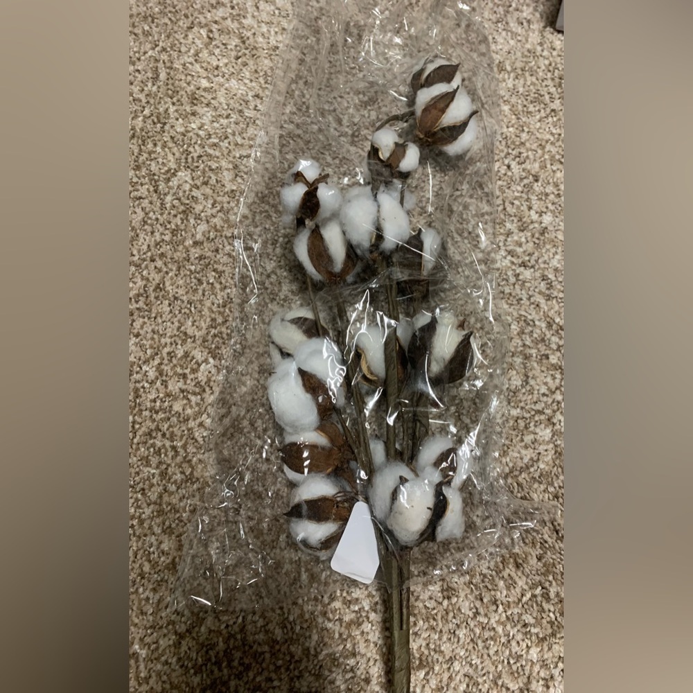 Cotton pick